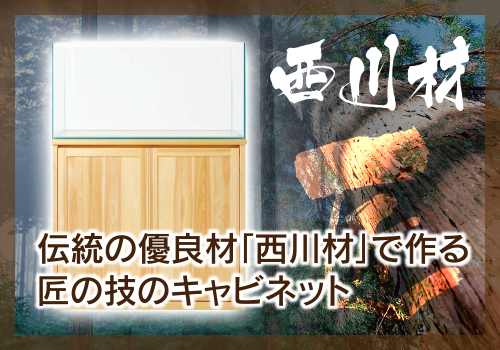 オリジナル水槽デザイン・製造｜株式会社プレココーポレーション